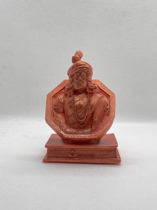 Sant Sevalal Maharaj burst